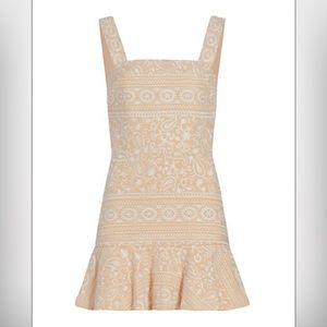 NWT Alice & Olivia Kaidra Drop-Waist Minidress